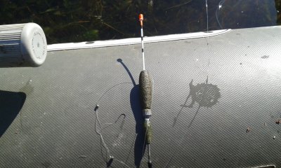 20170611_082703.jpg