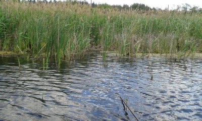 20170611_111615.jpg