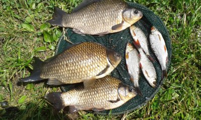 20170611_135822.jpg
