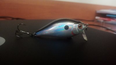 IMG_20170616_204028_1CS.jpg