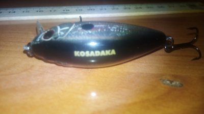 IMG_20170616_204106.jpg