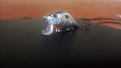 IMG_20170616_204146.jpg