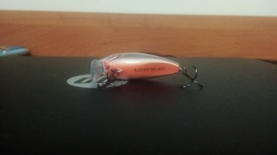 IMG_20170616_203841.jpg
