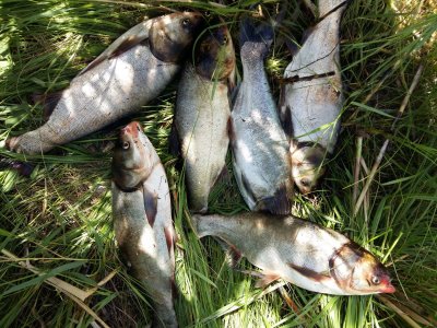 20170616_142900[1].jpg