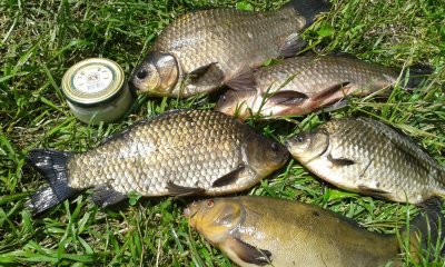 20170618_130708.jpg