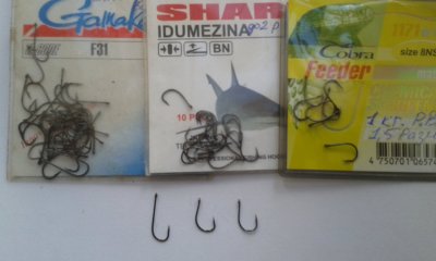 20170620_122456.jpg