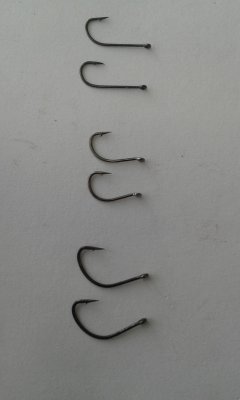 20170620_163356.jpg