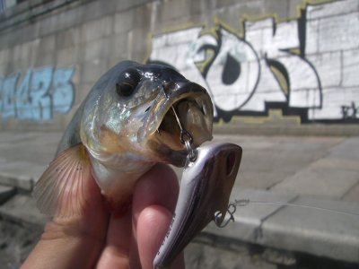 11.JPG