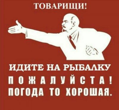 19399488_1125348324237972_5375560866244881439_n.jpg
