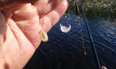 20170625_094002.jpg