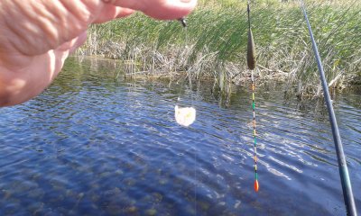 20170625_093834.jpg