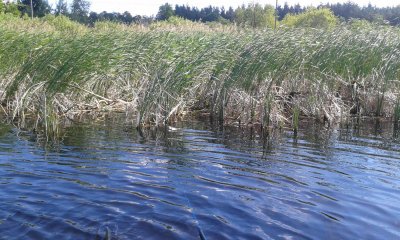 20170625_094234.jpg