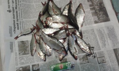 20170625_171325.jpg