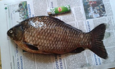 20170625_171347.jpg