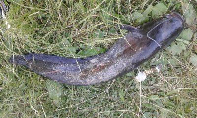 20170628_190739.jpg