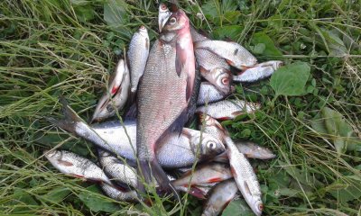 20170628_190714.jpg