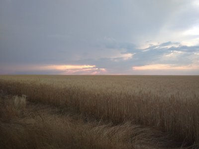 IMG_20170627_201340.jpg