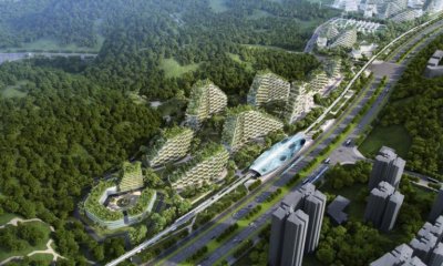 170629094854-china-forest-city-5-super-169-768x461.jpg