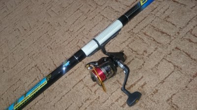 DSC_2504.JPG