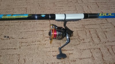 DSC_2503.JPG