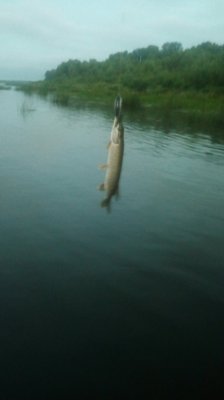 IMG_20170702_042108.jpg