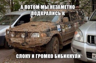 56.jpg