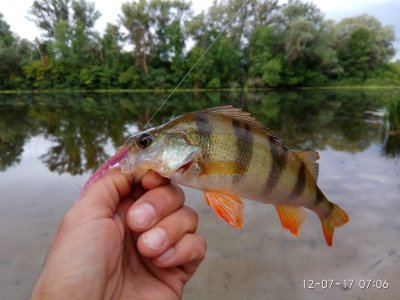 IMG_20170712_070628.jpg