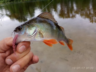 IMG_20170712_072042.jpg