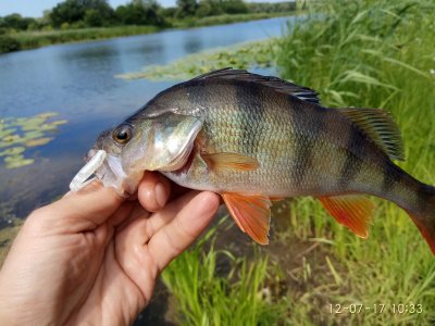 IMG_20170712_103316.jpg