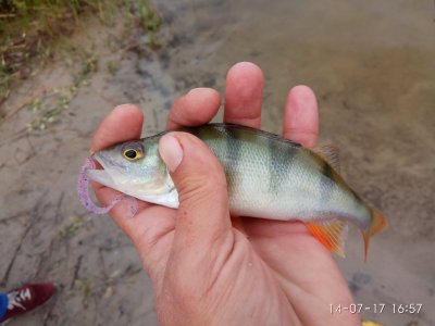 IMG_20170714_165751.jpg