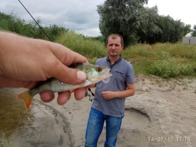IMG_20170714_171811.jpg