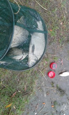 20170714_075728.jpg