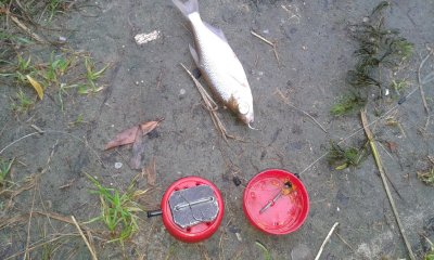 20170714_075719.jpg