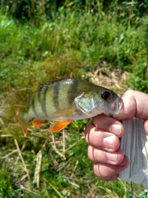 IMG_20170715_102403_HDR.jpg