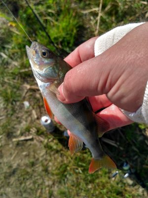IMG_20170715_092033_HDR.jpg