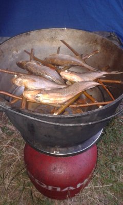20170713_154506.jpg