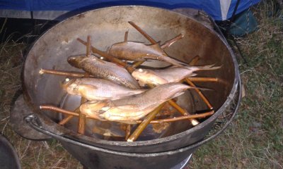 20170713_154458.jpg