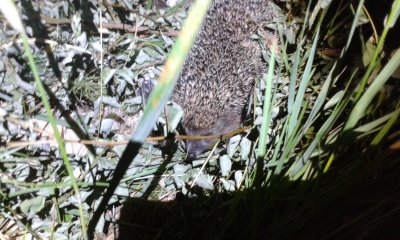 20170706_225949.jpg