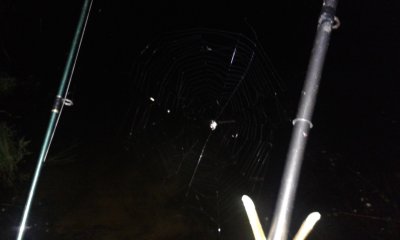 20170712_231623.jpg