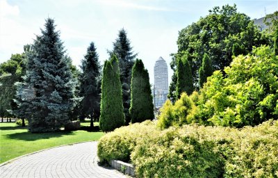 DSC_4106.jpg