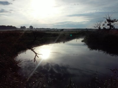 20170716_070341[1].jpg