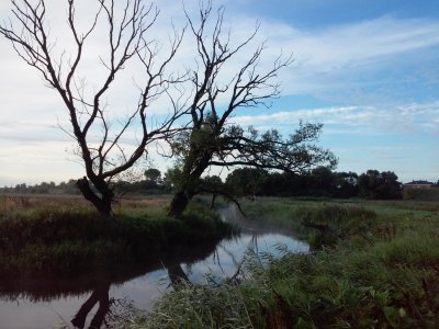 20170716_070351[1].jpg
