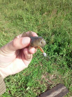 20170716_092827[1].jpg