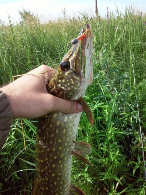 20170716_101353[1].jpg