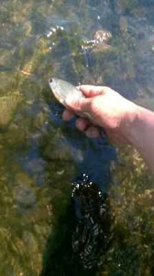 WP_20170718_10_42_25_Pro.jpg