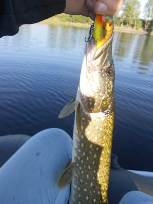 DSCN4180.JPG