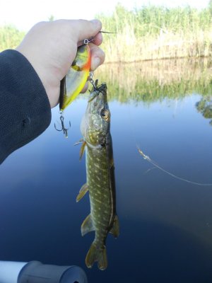 DSCN4187.JPG