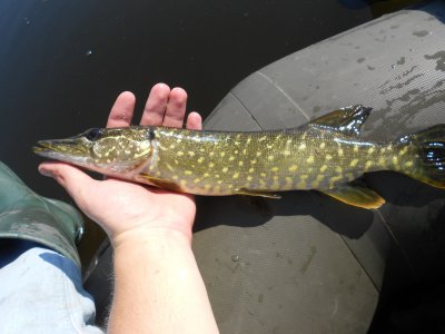 DSCN4193.JPG