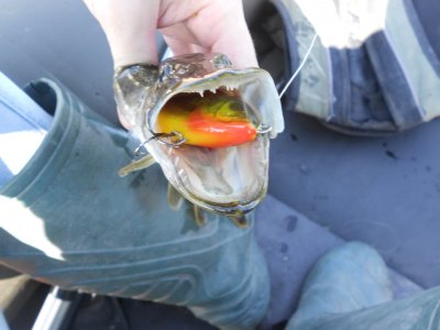 DSCN4195.JPG