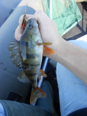 DSCN4188.JPG